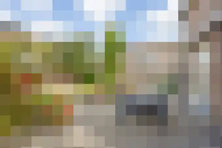 Hulstakker 15 Baarle-Nassau thumbnail 34
