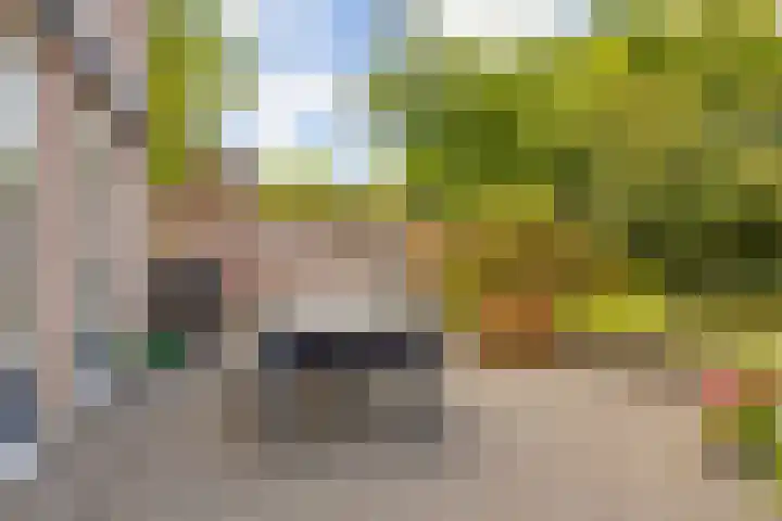 Hulstakker 15 Baarle-Nassau thumbnail 35
