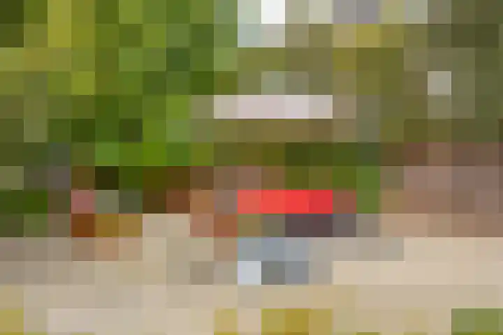 Hulstakker 15 Baarle-Nassau thumbnail 37