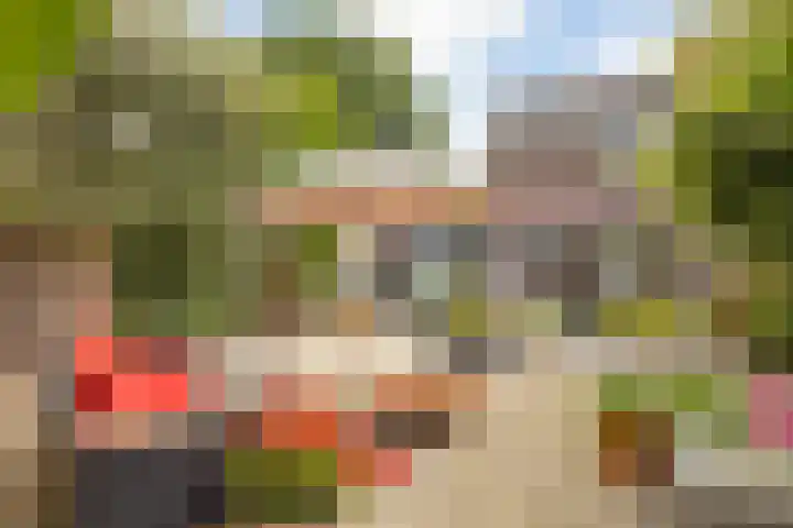 Hulstakker 15 Baarle-Nassau thumbnail 39