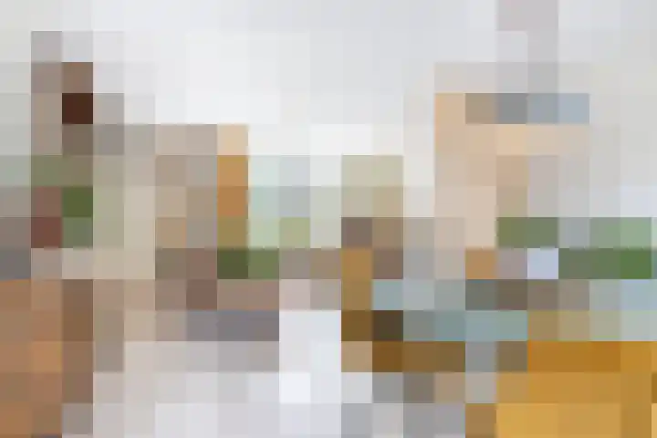 Hulstakker 15 Baarle-Nassau thumbnail 4