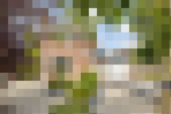 Hulstakker 15 Baarle-Nassau thumbnail 40