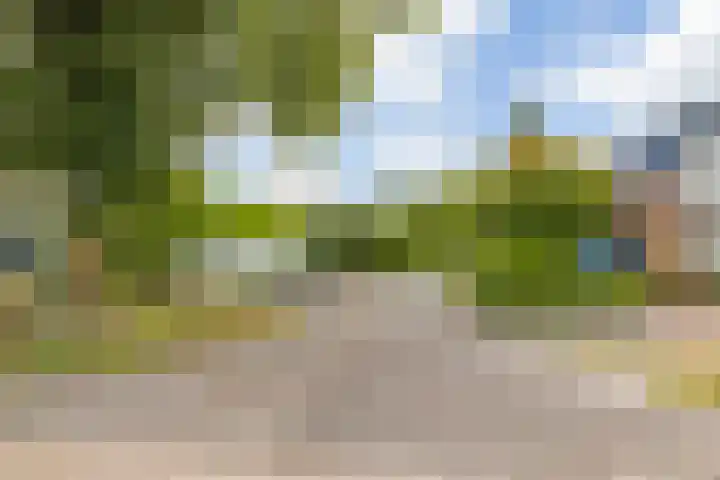 Hulstakker 15 Baarle-Nassau thumbnail 44