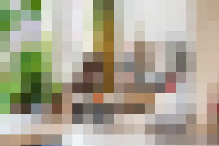 Hulstakker 15 Baarle-Nassau thumbnail 8