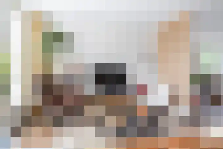 Hulstakker 15 Baarle-Nassau thumbnail 9