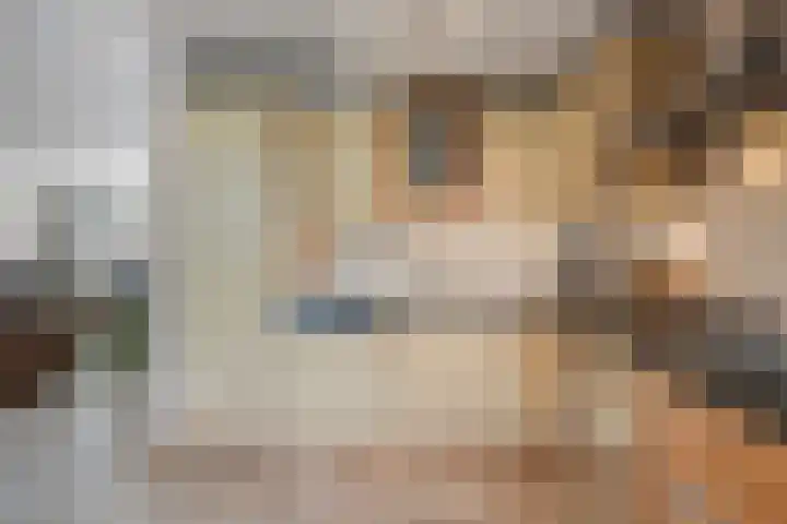 Hulstakker 34 Baarle-Nassau thumbnail 11