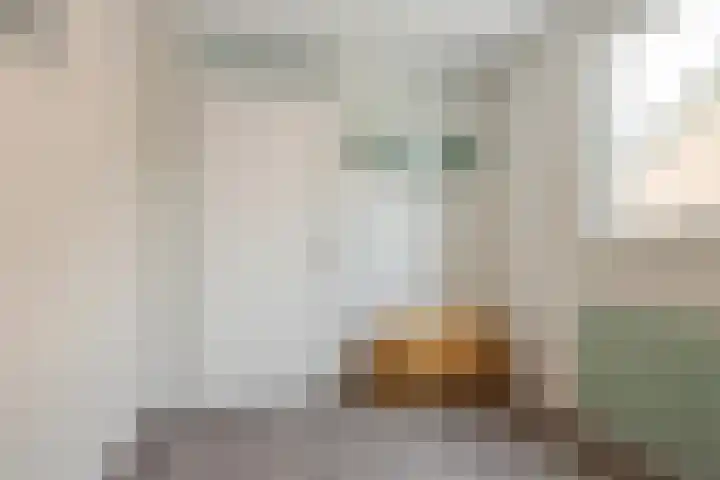 Hulstakker 34 Baarle-Nassau thumbnail 17