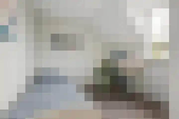 Hulstakker 34 Baarle-Nassau thumbnail 18