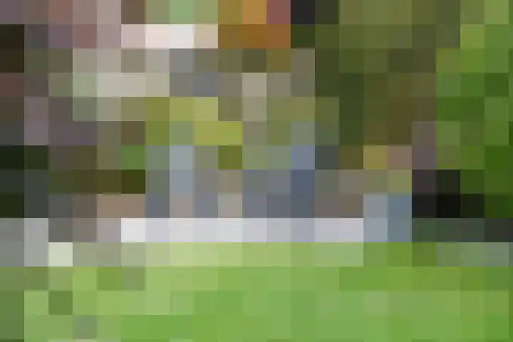 Hulstakker 34 Baarle-Nassau thumbnail 26