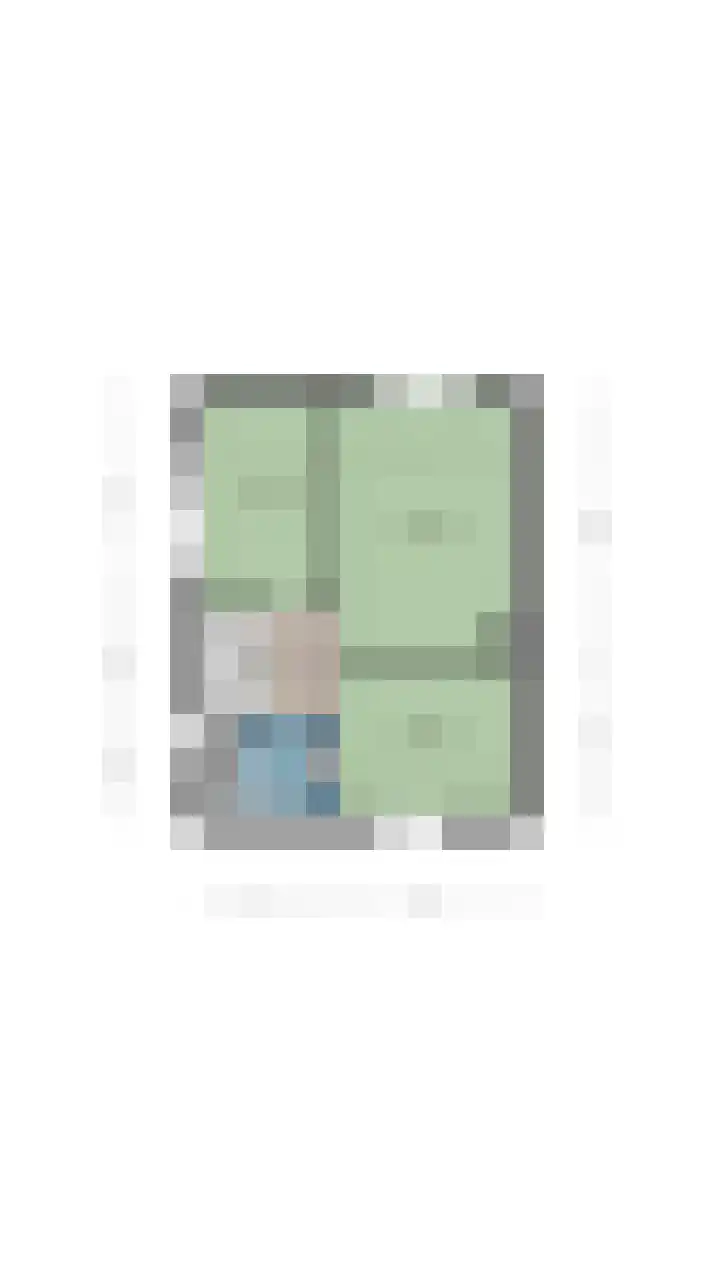 Hulstakker 34 Baarle-Nassau thumbnail 38