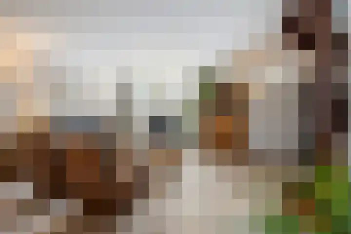 Hulstakker 34 Baarle-Nassau thumbnail 4