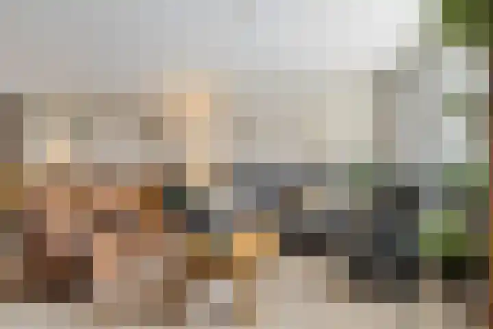 Hulstakker 34 Baarle-Nassau thumbnail 6