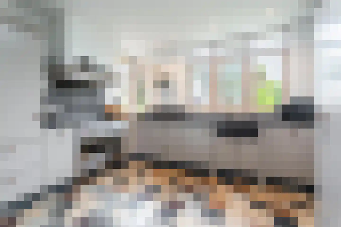 Hulstakker 6 Baarle-Nassau thumbnail 14