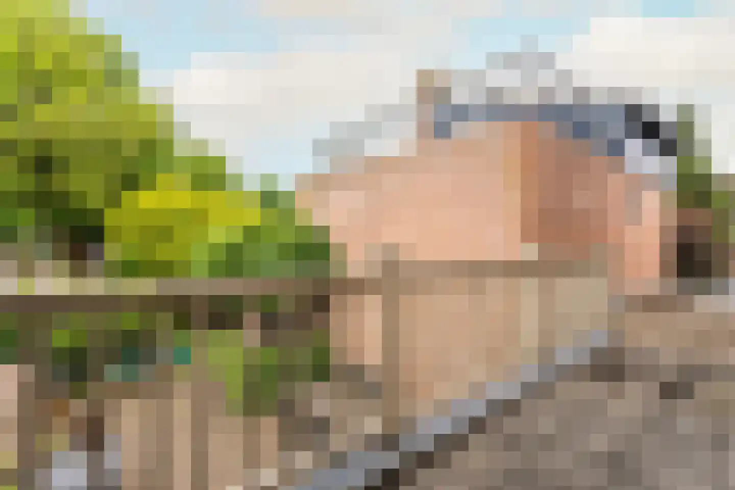 Hulstakker 6 Baarle-Nassau thumbnail 32
