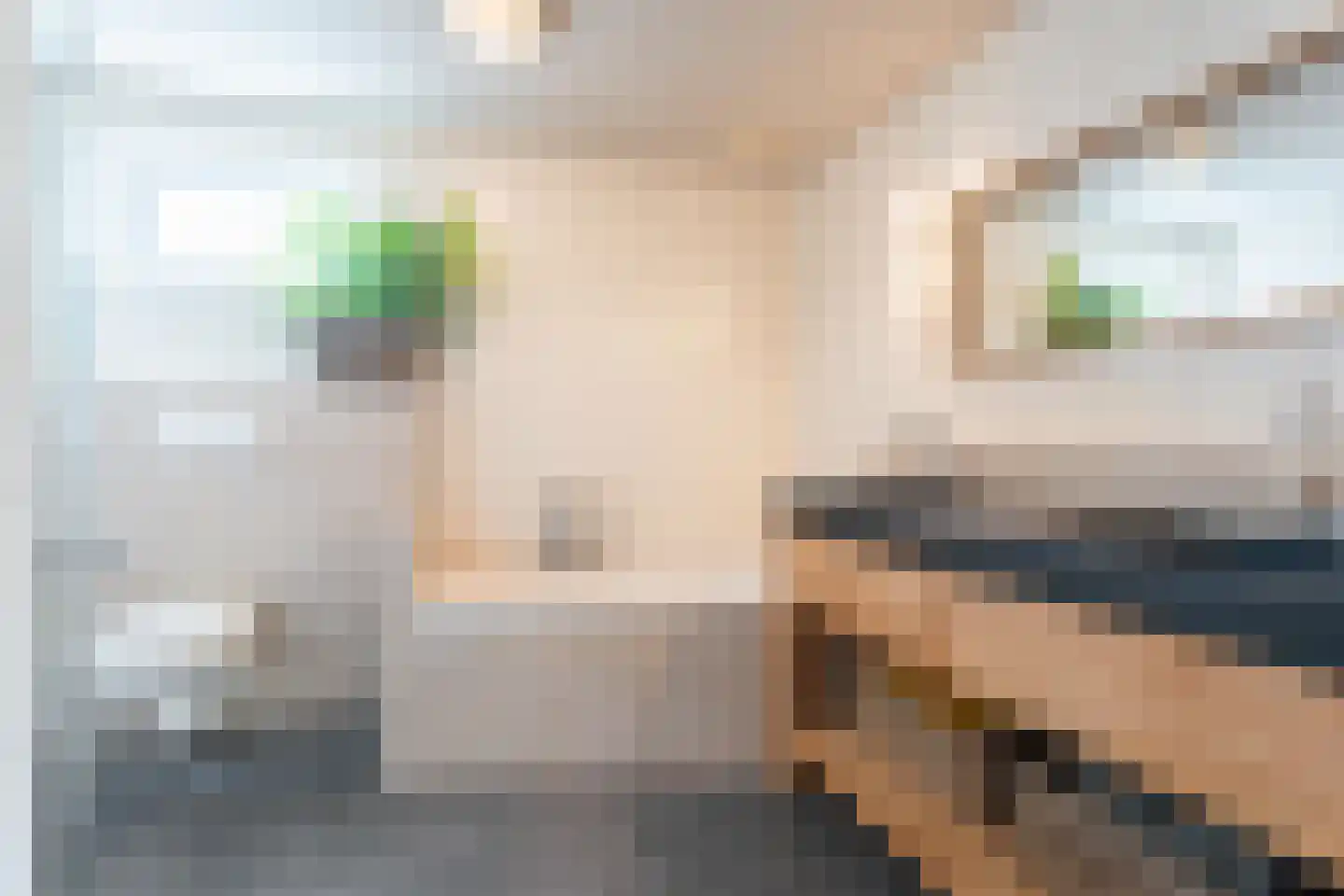 Hulstakker 6 Baarle-Nassau thumbnail 36