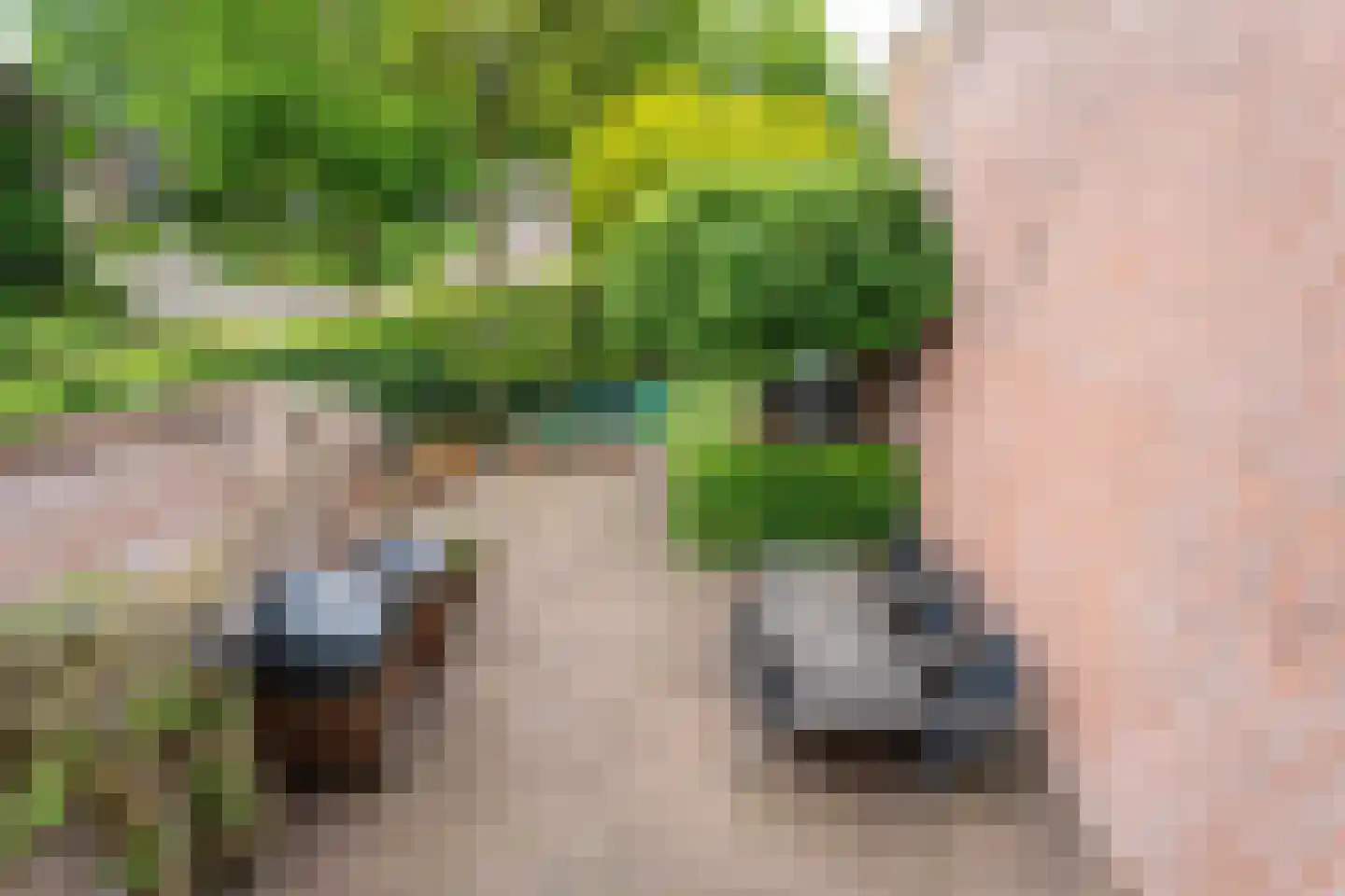 Hulstakker 6 Baarle-Nassau thumbnail 43