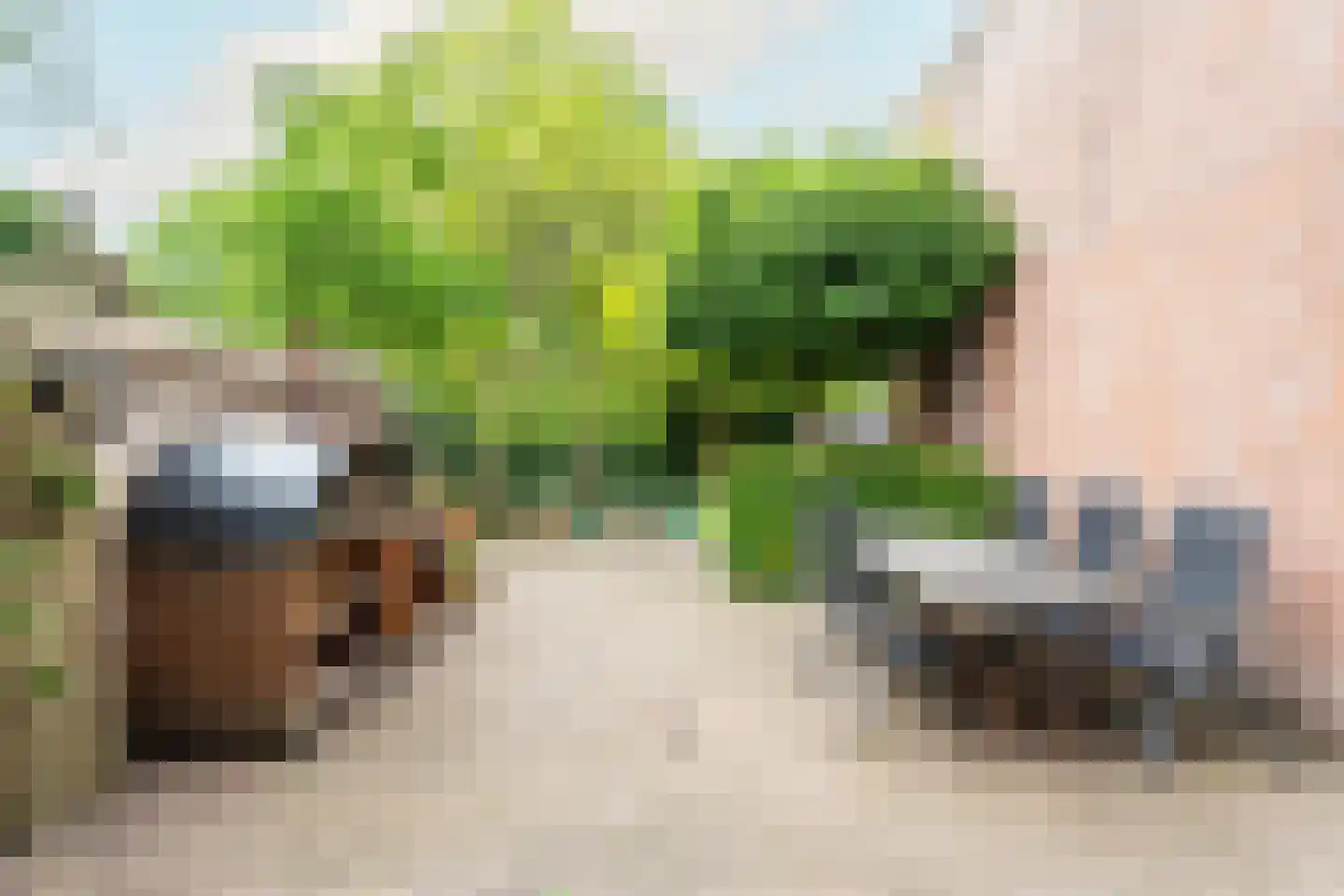 Hulstakker 6 Baarle-Nassau thumbnail 45