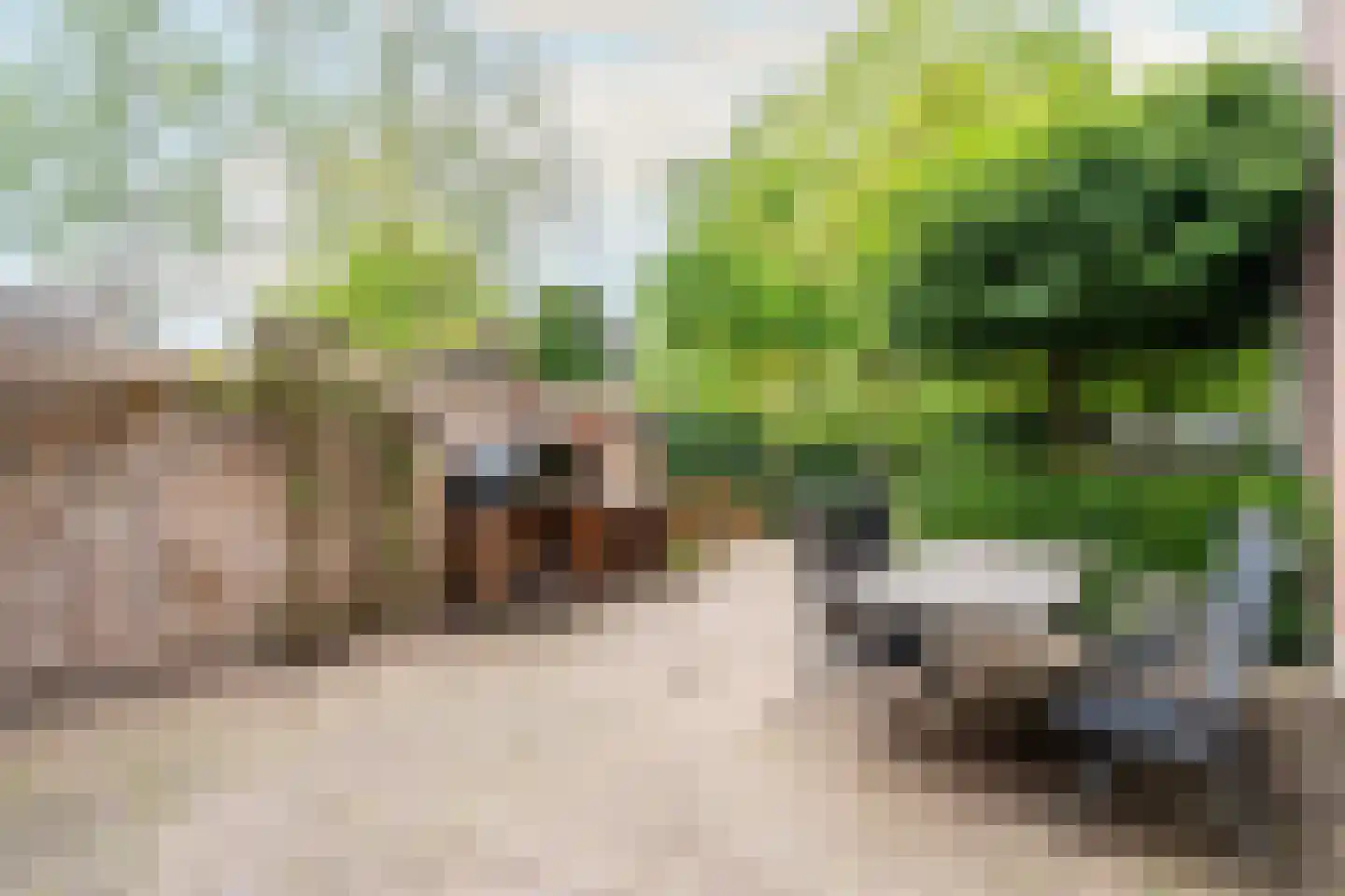 Hulstakker 6 Baarle-Nassau thumbnail 46
