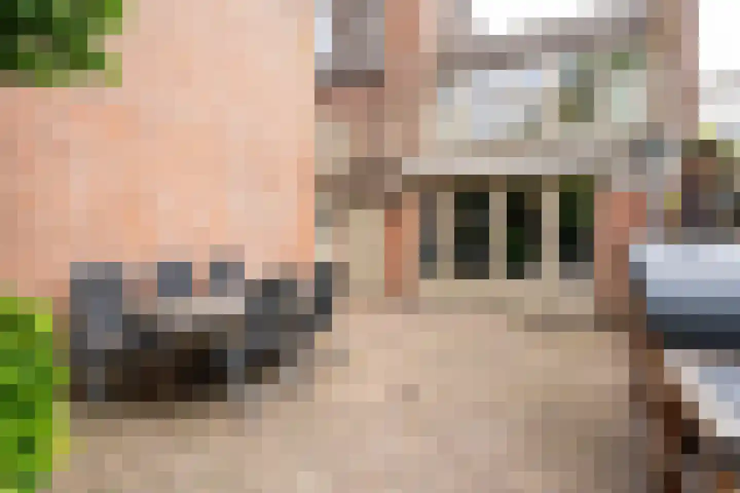 Hulstakker 6 Baarle-Nassau thumbnail 47