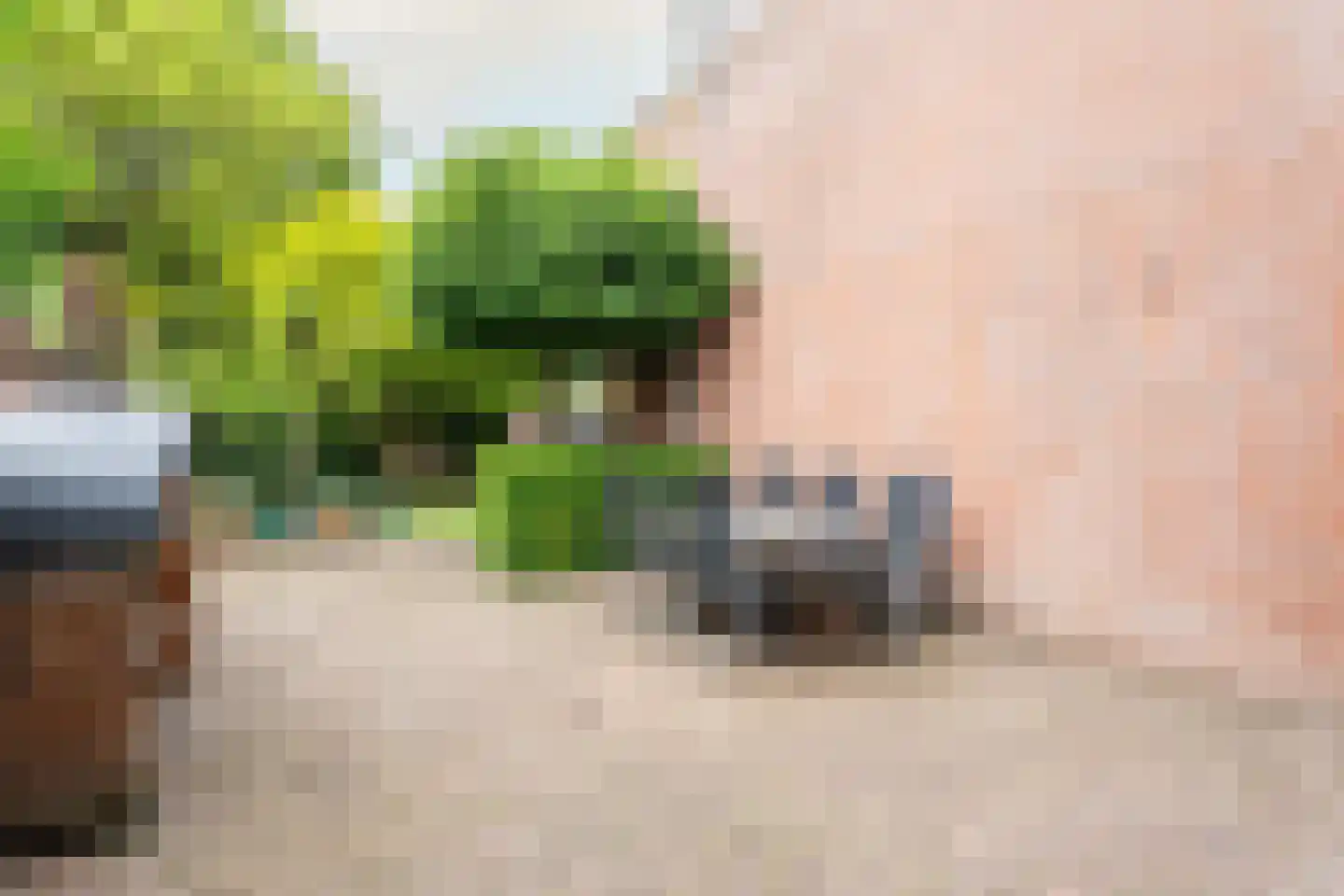 Hulstakker 6 Baarle-Nassau thumbnail 48