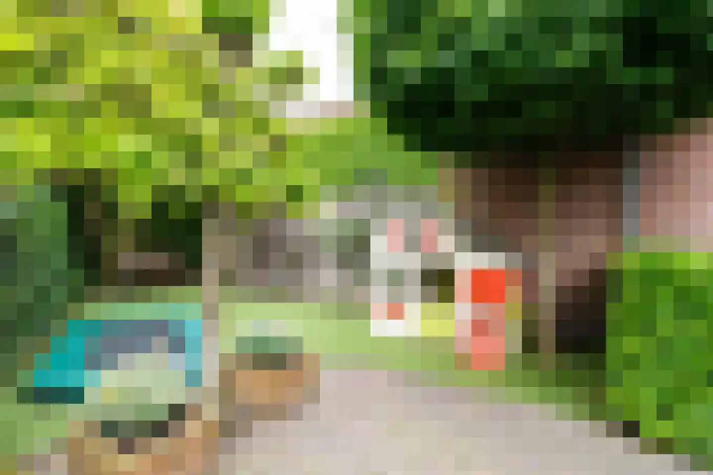 Hulstakker 6 Baarle-Nassau thumbnail 49