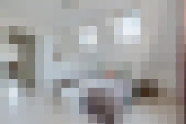 Hulstbeemd 42 Valkenswaard thumbnail 20