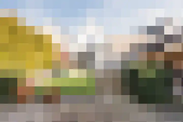 Hulstbeemd 51 Valkenswaard thumbnail 30
