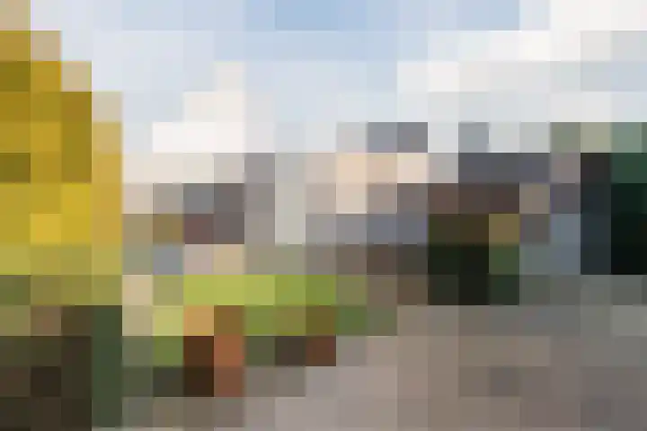 Hulstbeemd 51 Valkenswaard thumbnail 31