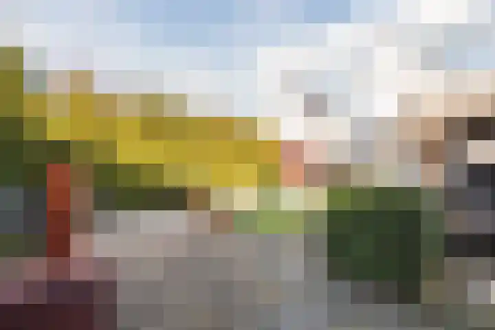 Hulstbeemd 51 Valkenswaard thumbnail 32