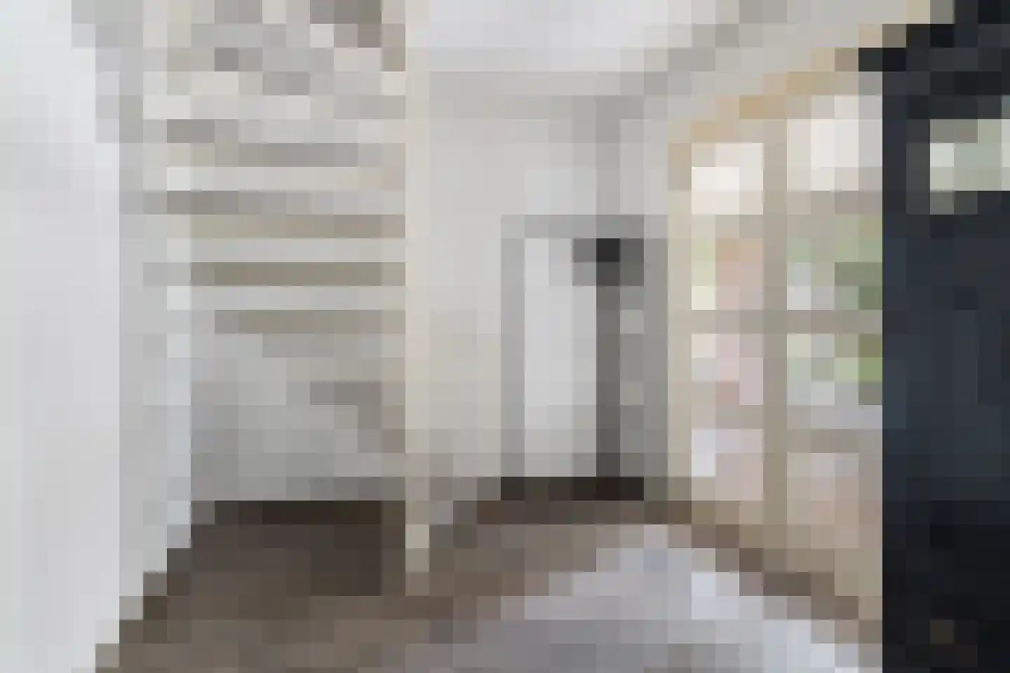 Hulstbos 15 Drachten thumbnail 11