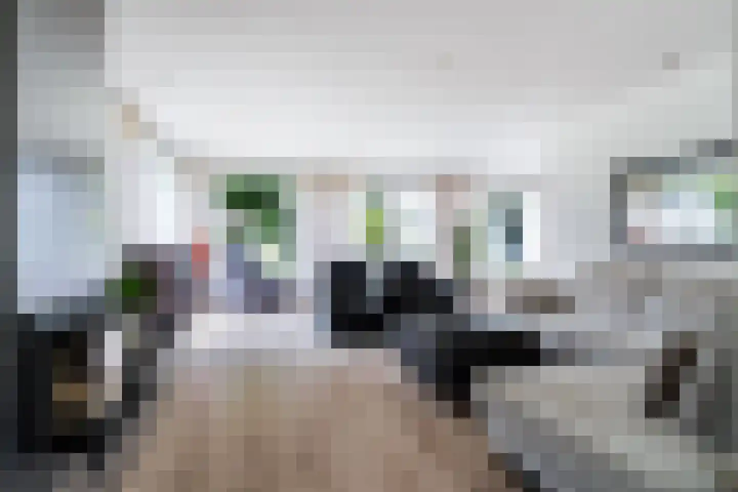 Hulstbos 15 Drachten thumbnail 17