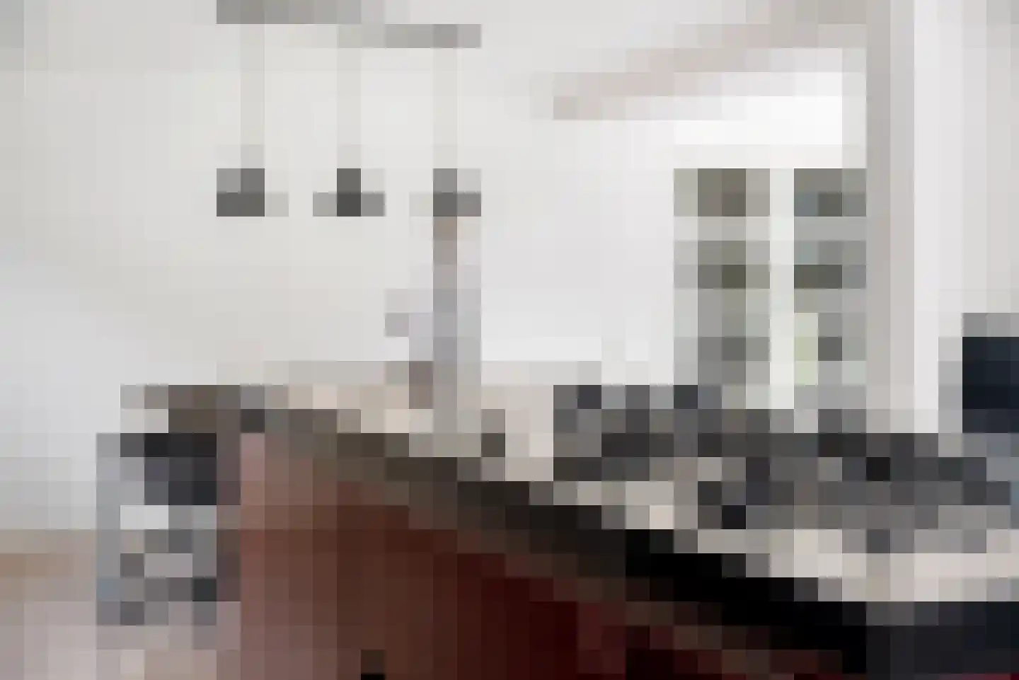 Hulstbos 15 Drachten thumbnail 22
