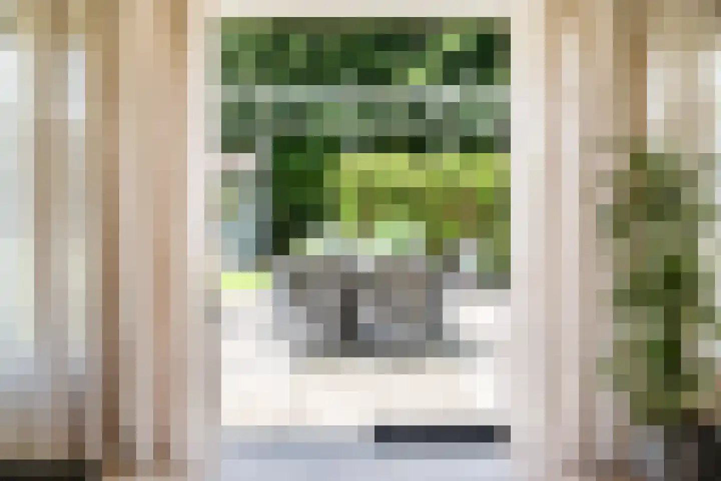 Hulstbos 15 Drachten thumbnail 26