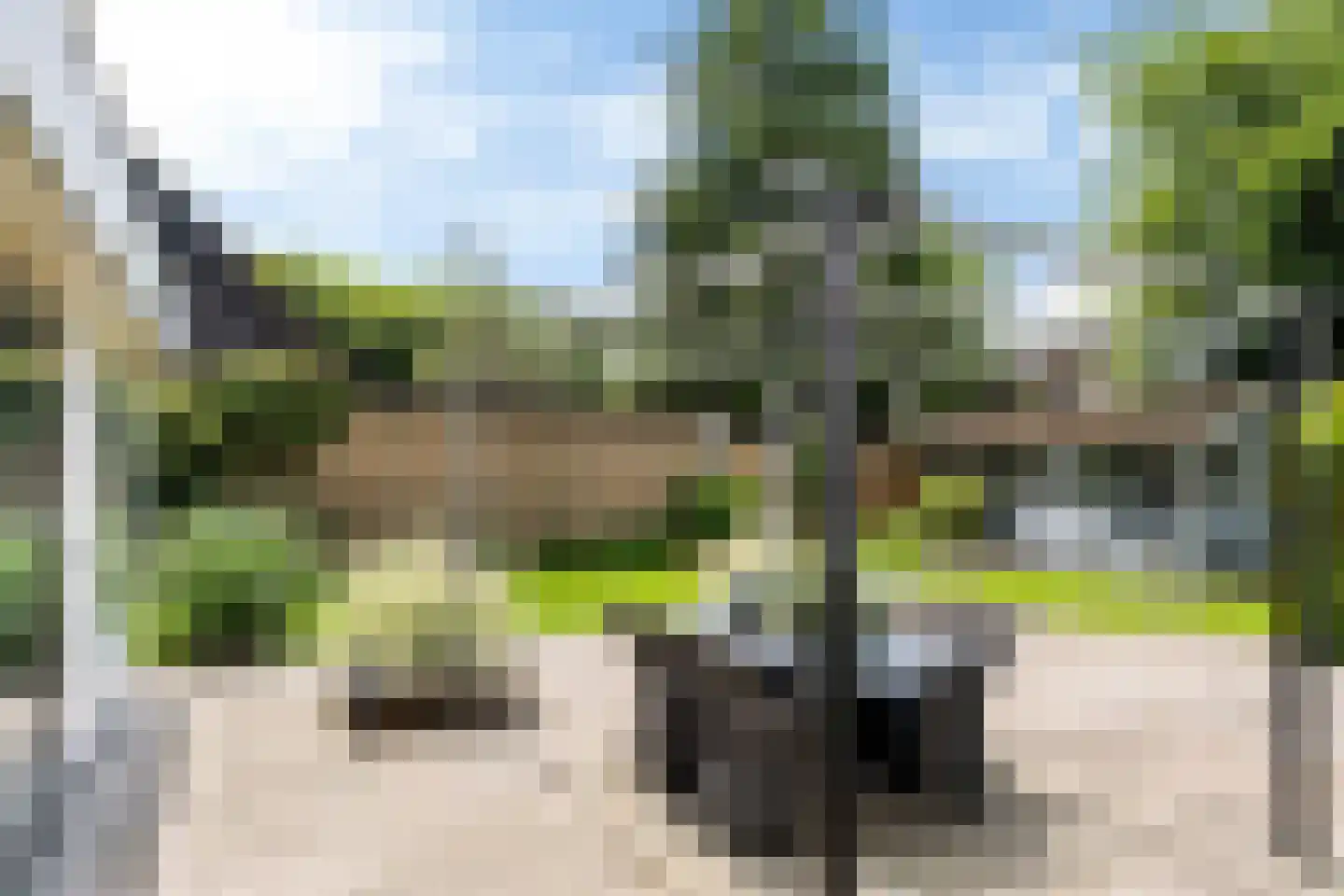 Hulstbos 15 Drachten thumbnail 27