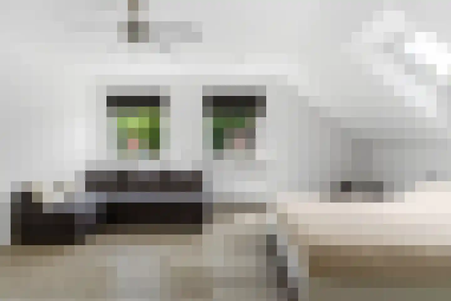 Hulstbos 15 Drachten thumbnail 39