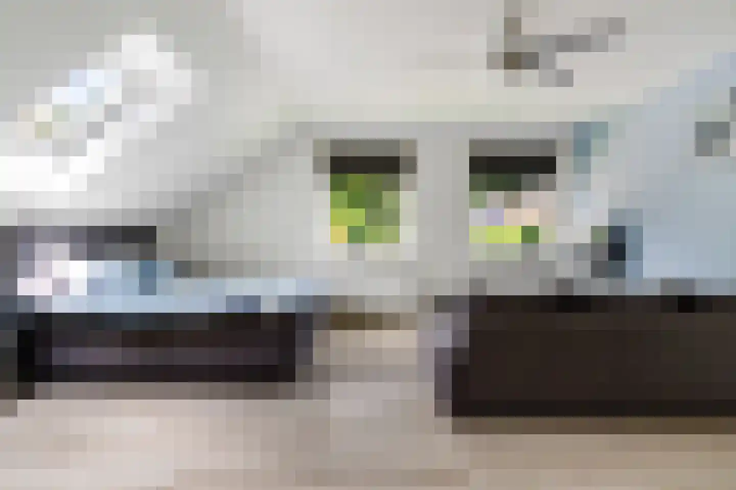 Hulstbos 15 Drachten thumbnail 43