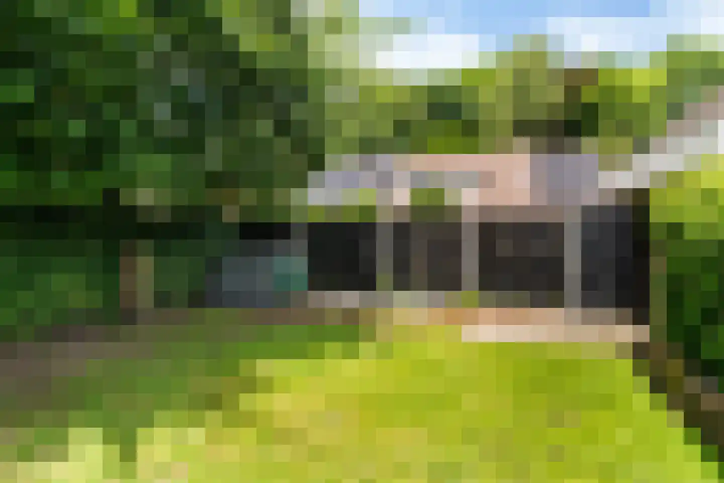 Hulstbos 15 Drachten thumbnail 61