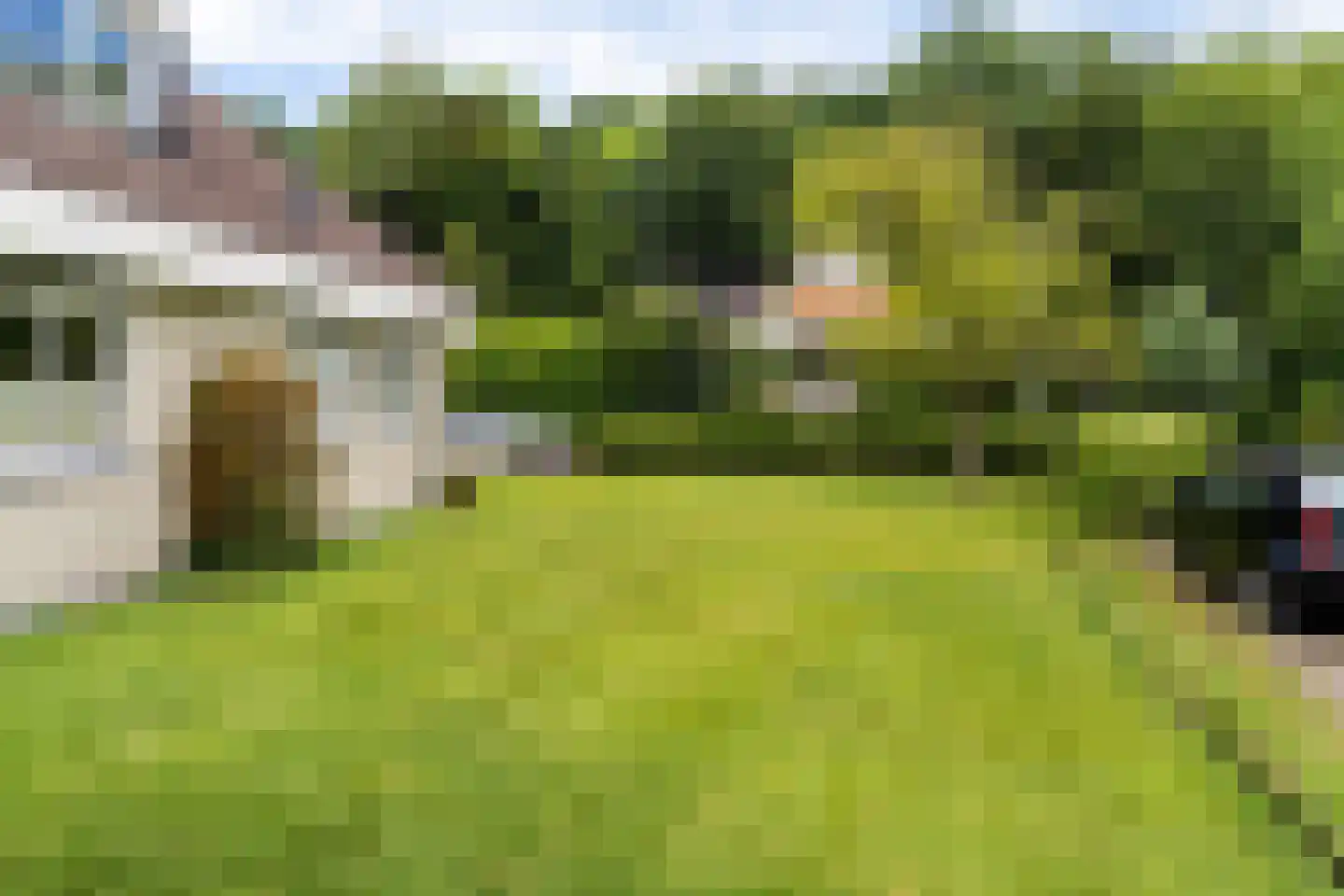 Hulstbos 15 Drachten thumbnail 9