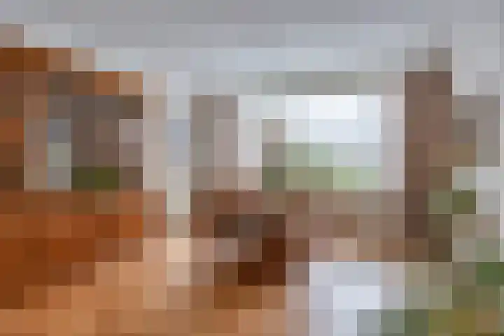 Hulstbosakker 19 Eindhoven thumbnail 13