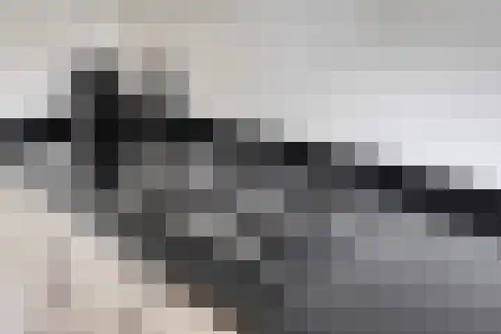 Hulstbosakker 19 Eindhoven thumbnail 16