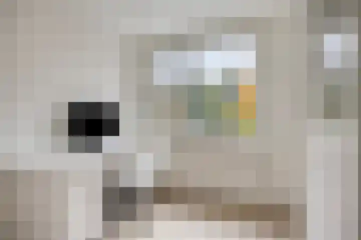 Hulstbosakker 19 Eindhoven thumbnail 18