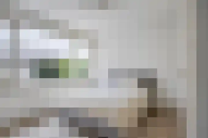 Hulstbosakker 19 Eindhoven thumbnail 19