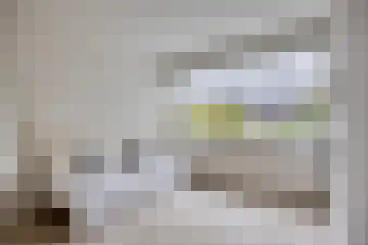Hulstbosakker 19 Eindhoven thumbnail 20