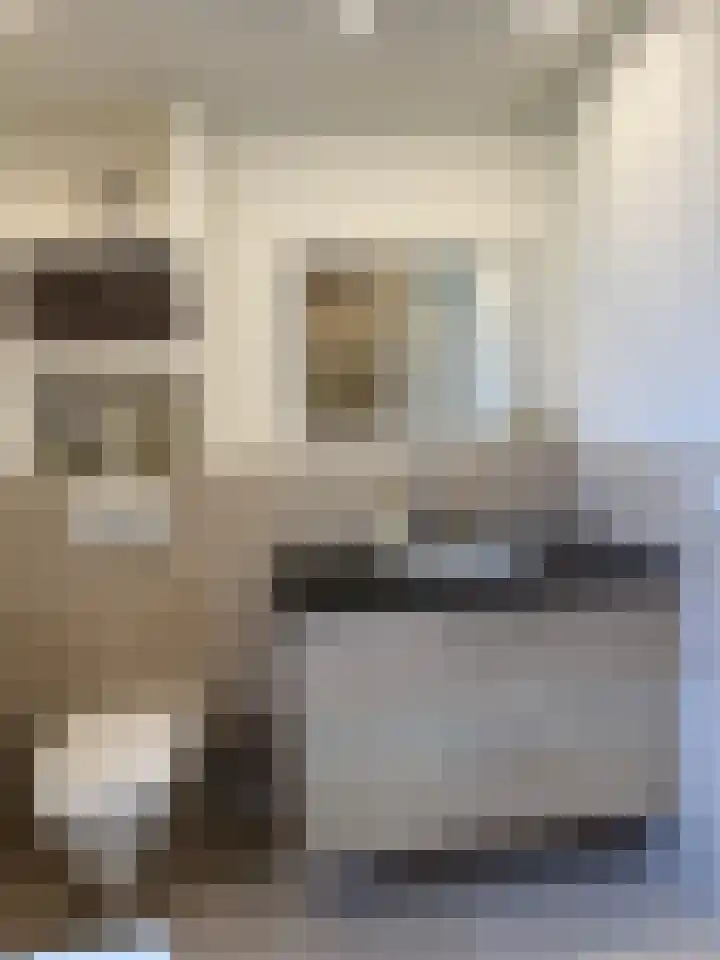 Hulstbosakker 19 Eindhoven thumbnail 21