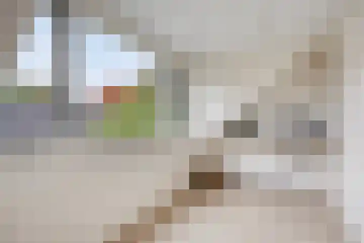 Hulstbosakker 19 Eindhoven thumbnail 27