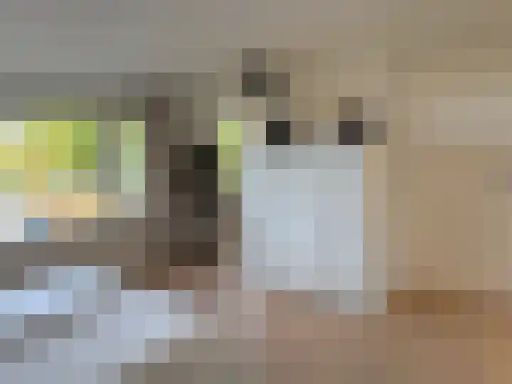 Hulstbosakker 19 Eindhoven thumbnail 28