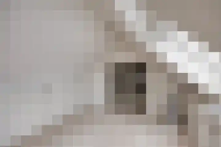 Hulstbosakker 19 Eindhoven thumbnail 31