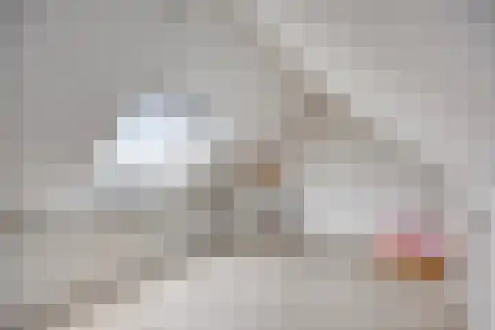 Hulstbosakker 19 Eindhoven thumbnail 32