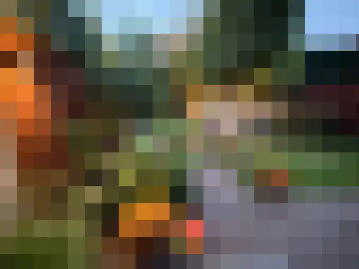 Hulstbosakker 19 Eindhoven thumbnail 35