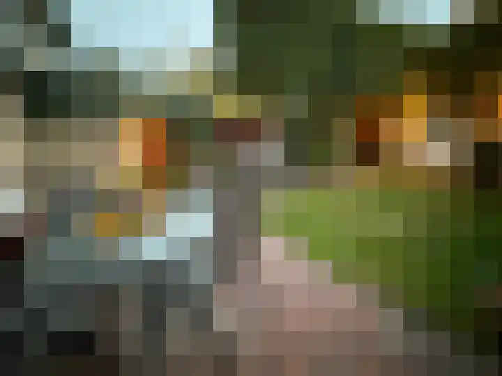 Hulstbosakker 19 Eindhoven thumbnail 36